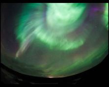 boreal corona.jpg